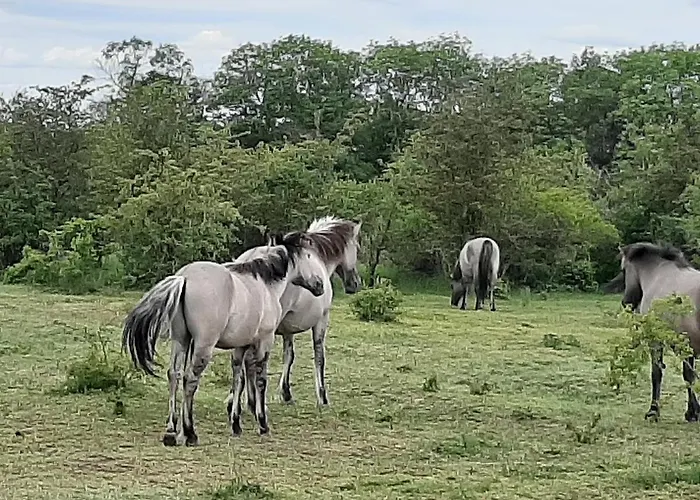 Ferienwohnung Weinbergblick