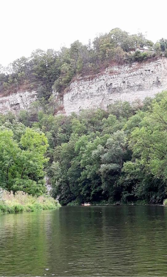 Weinbergblick Naumburg (Saale)