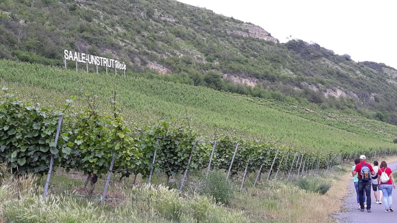 Weinbergblick