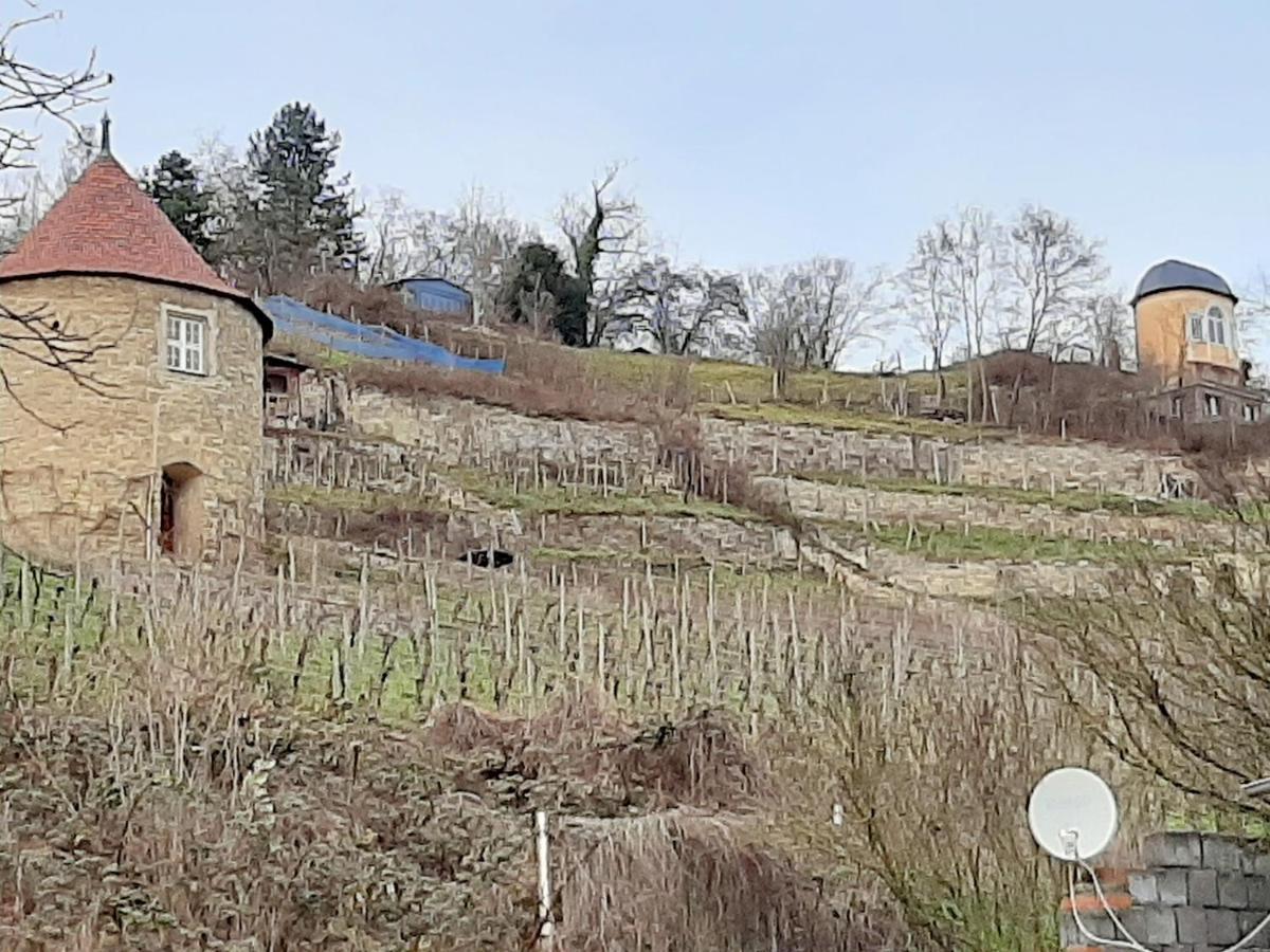 Weinbergblick Apartment *