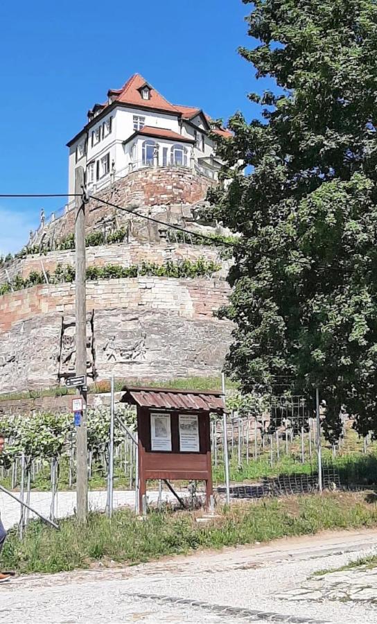 Apartment Weinbergblick